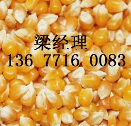 正荣公司常年求购玉米，小麦，大豆，棉粕，高梁，次粉等饲料原料