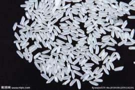 大量批发大米高粱大豆燕麦小麦