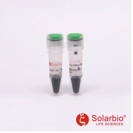 索莱宝PR1910 彩虹广谱蛋白Marker（11-180KD)